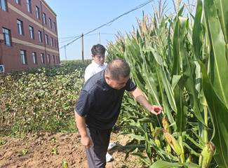 f6a9a3c39144479cff7ef54333c03c1f